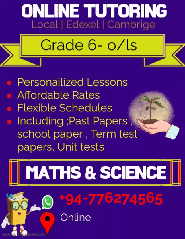 Grade 6,7,8,9,10,O/L'S maths and science group class Local / edexel cambridge