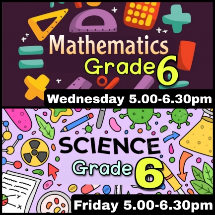 Grade 6 English medium Maths online classes commenced for 2nd term