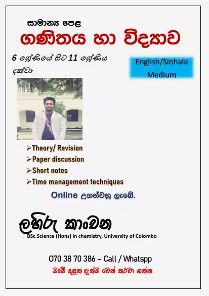 Grade 6 to 11 Maths & Science classes