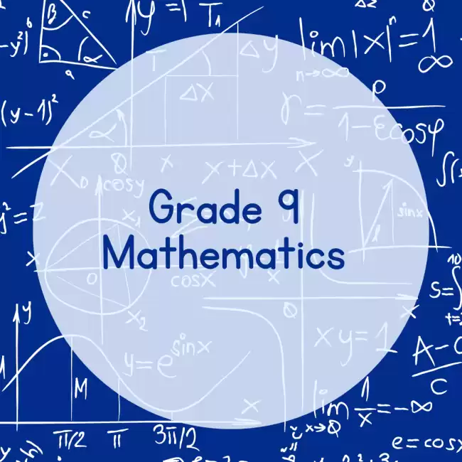 Grade 9 and 10 Maths class in tamil & English medium