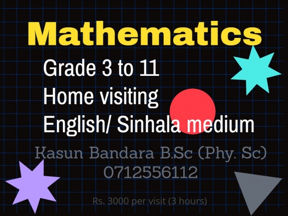 Home Visiting Mathematics Teacher Local/ London