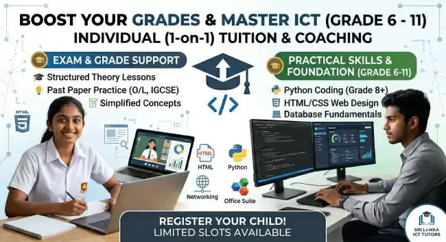 ICT individual Classes for 10 & 11