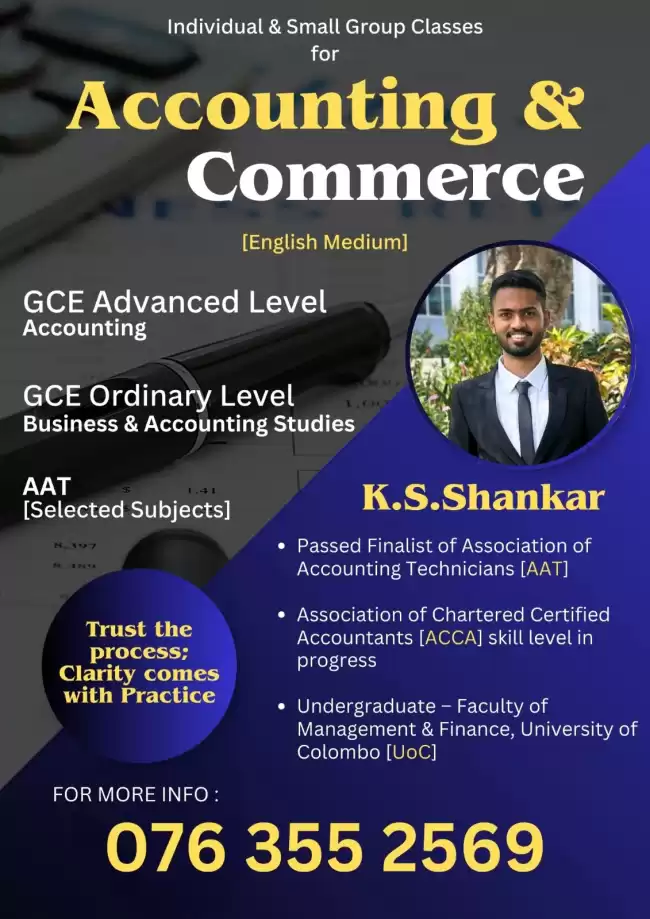 Individual and Group classes for Accounting and Economics.