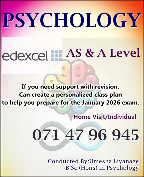 🧠 Individual Home Visit Psychology Classes!