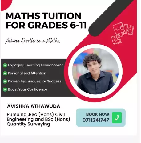 Individual Home Visit Tuition for Grade 6-11 Maths
