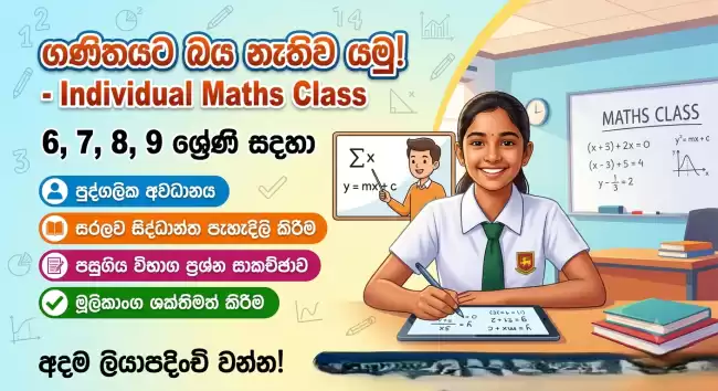 Individual maths calasses [sinhala medium]