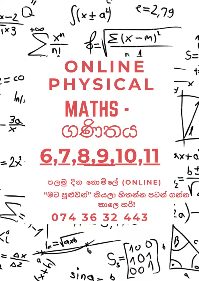 Individual Maths Class & Online