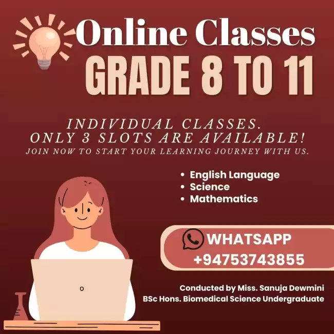 INDIVIDUAL ONLINE CLASSES GRADE 8-11