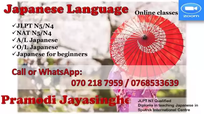 Japanese Individual and Group Classes