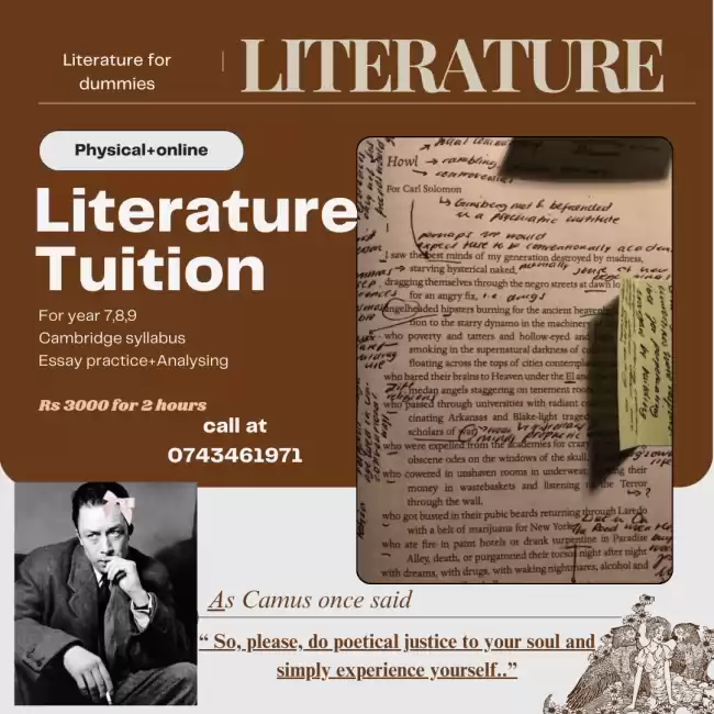 Literature tuition