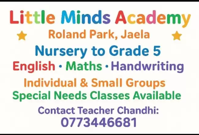 Little Minds Academy