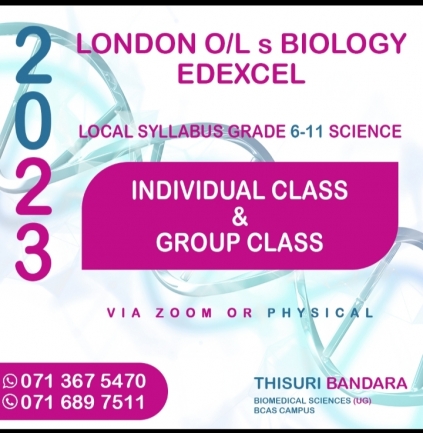 London (edexcel/Cambridge)O/l classes