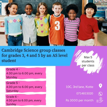 London grade 3,4,5 Science group classes