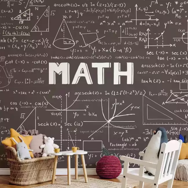 Mathematics Classes for Local syllabus and International syllabus