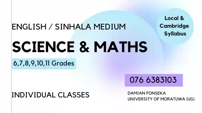 Mathematics home visit and online classes