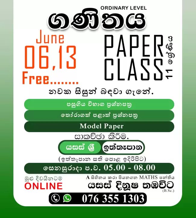Mathematics Online Paper Class
