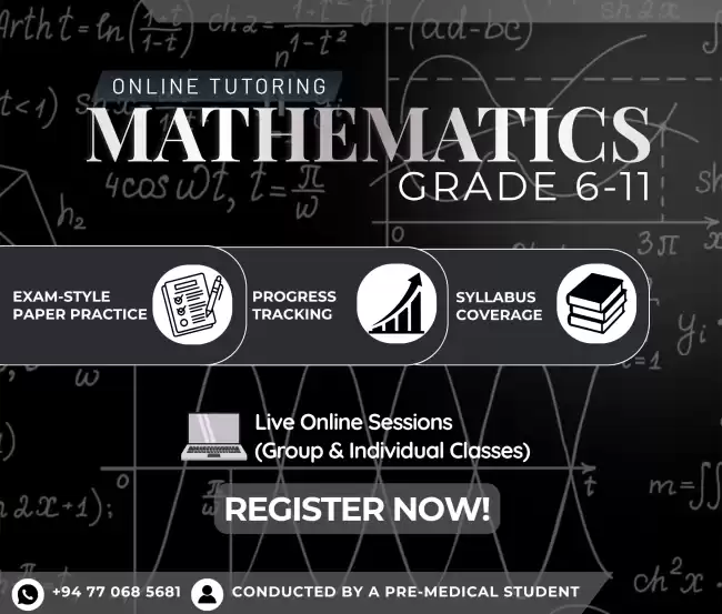 Mathematics Online Tutoring