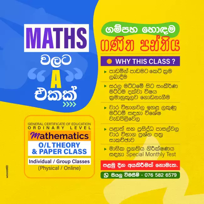 Maths Home Visit