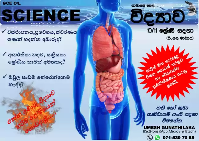 සාමාන්‍ය පෙළ භෞතික විද්‍යාව පංති