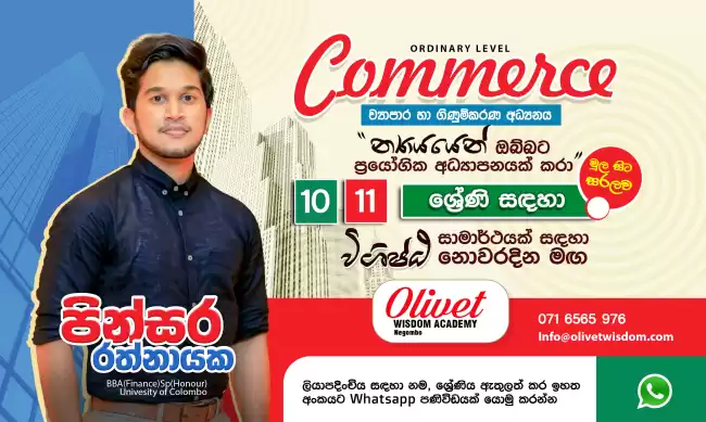 ව්‍යාපාර හා ගිණුම්කරණ අධ්‍යනයනය