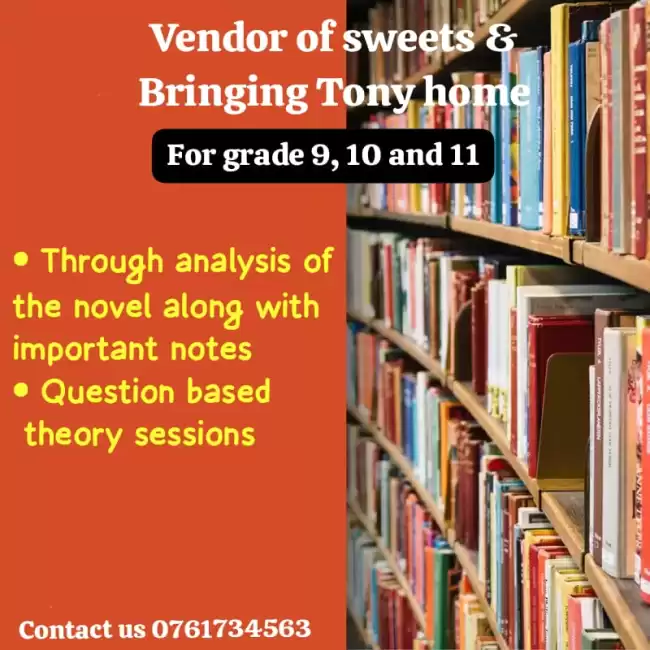 Novel class for grade 9, 10 & 11