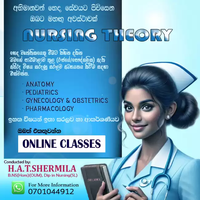 NURSING THEORY CLASSES