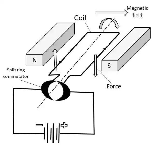 O/L SCIENCE (Grade 11)