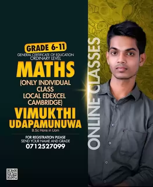 OL Maths Online Individual and Home Visit Classes