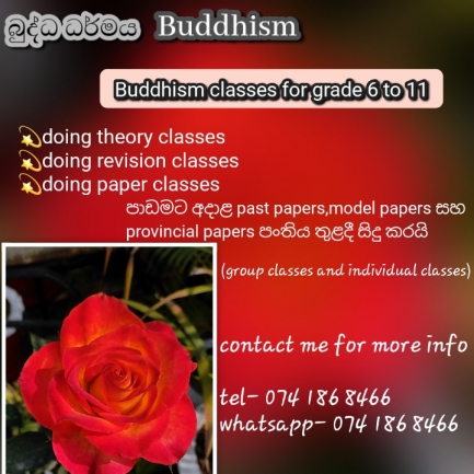 Online Buddhism classes