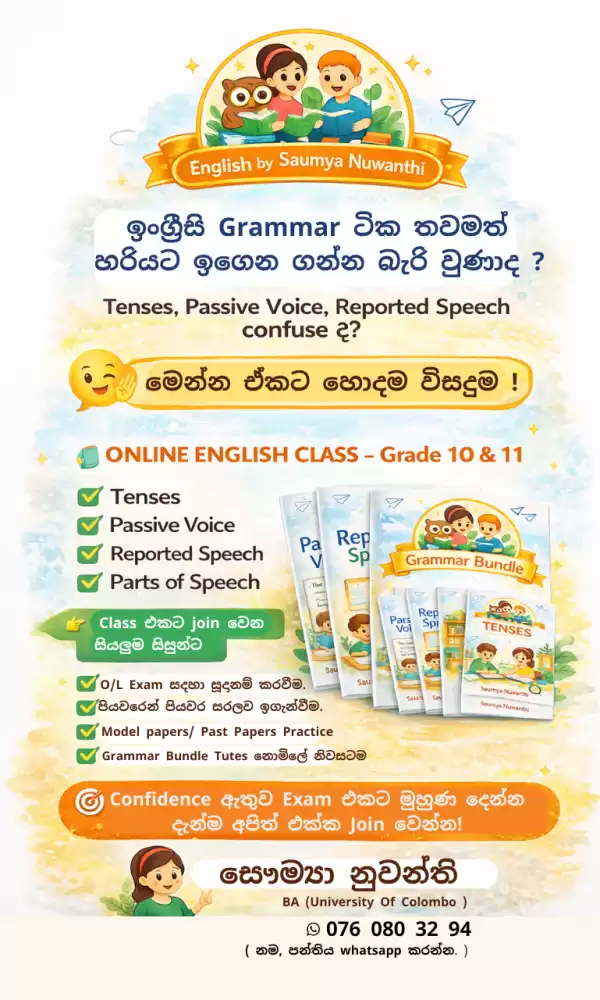 Online English Class ( grade 10/11 )