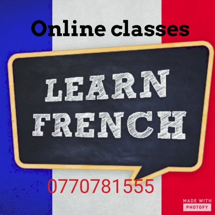 ONLINE french classes