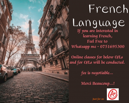 Online French Classes