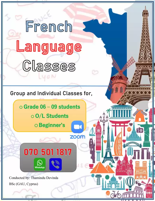 Online French language classes