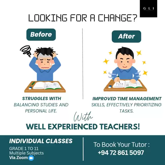 Online Individual Classes