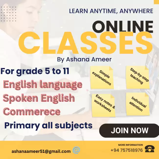 Online international tutor
