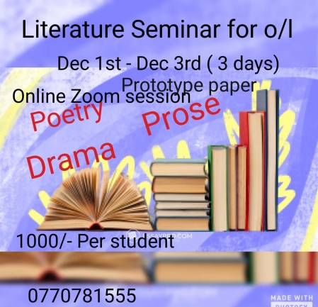 online Literature seminar