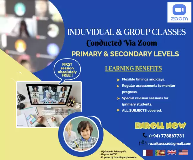 Online Tutor
