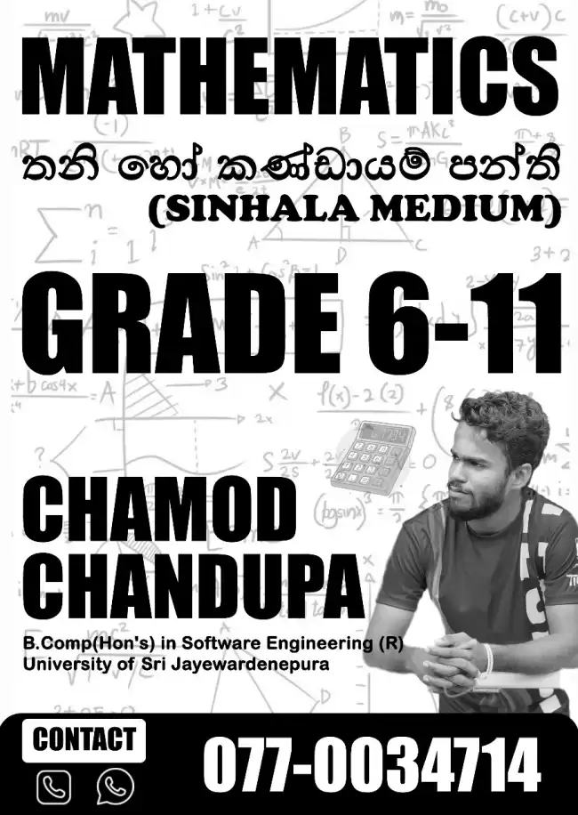 Ordinary level mathematics Group and individual classes