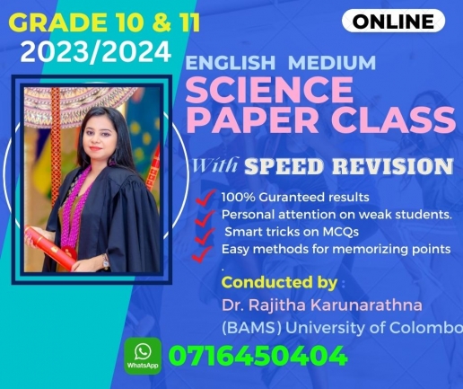 Paper Class - 2023/2024 - Online