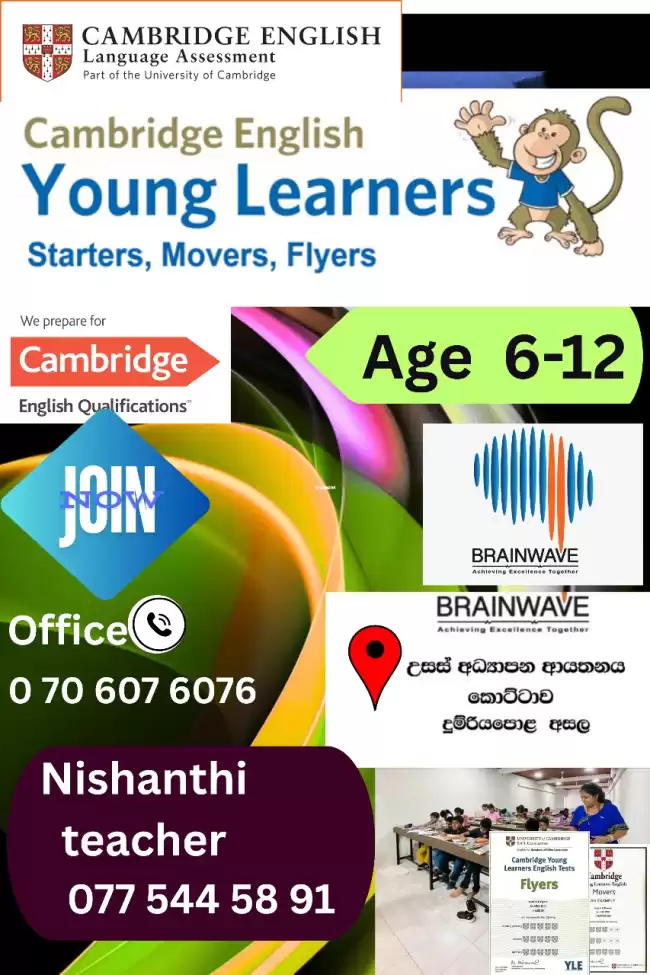 Primary English classes(grade 1-7)