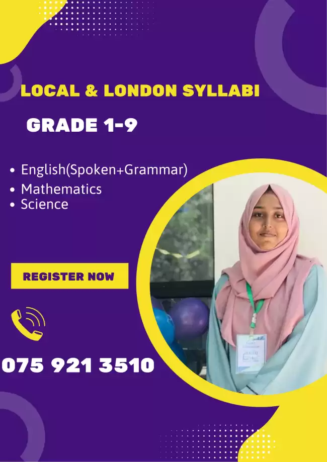 Primary individual classes (English, mathematics)