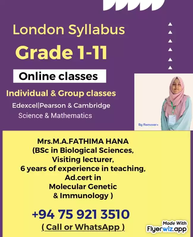 Primary mathematics,English and science education