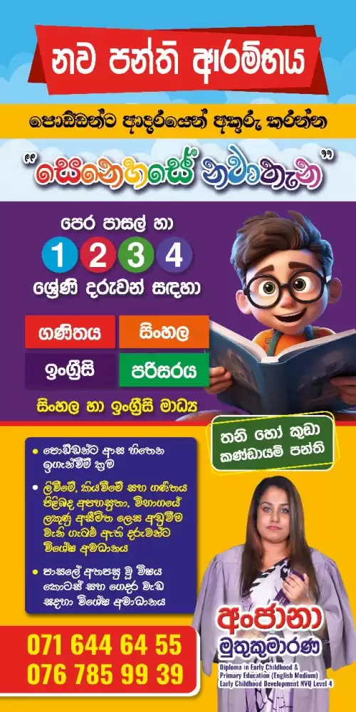 Primary Teacher