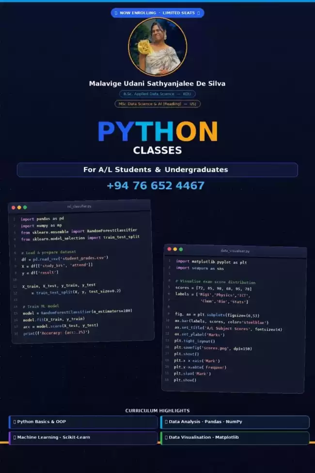 Python Online Classes