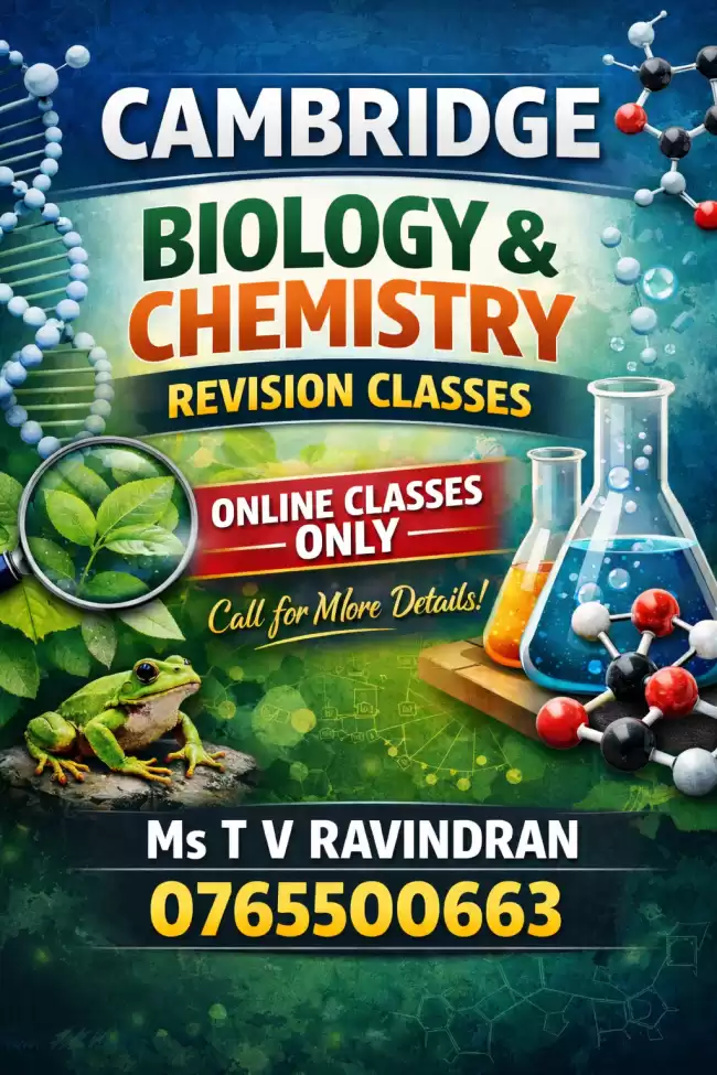 REVISION CLASSES