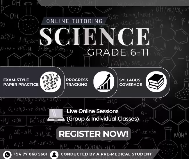 Science and Math Online Tutoring