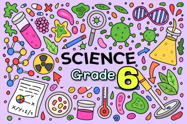 Science Grade 6 english medium online classes