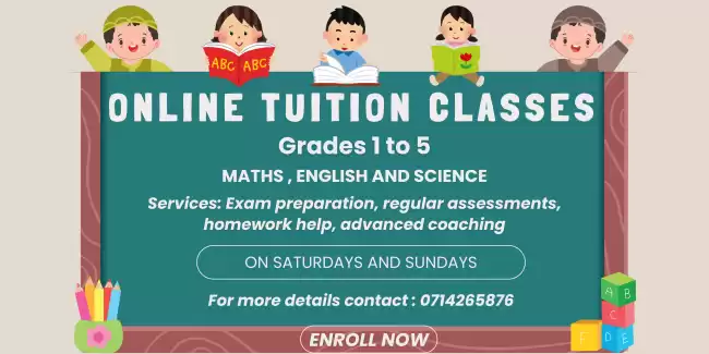 Science, Math, and Language Online Classes by Skilled Tutor