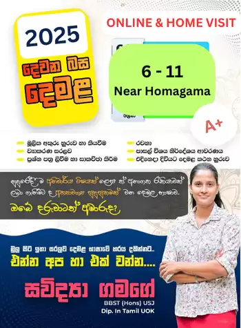 දෙමළ පන්තිය(පොඩ්ඩෝ වැඩ්ඩෝ කරන) | Second Language Tamil | 2025