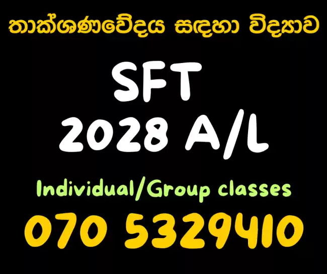 SFT 2028 AL | තාක්ශණවේදය සඳහා විද්‍යාව | Group and Individual
